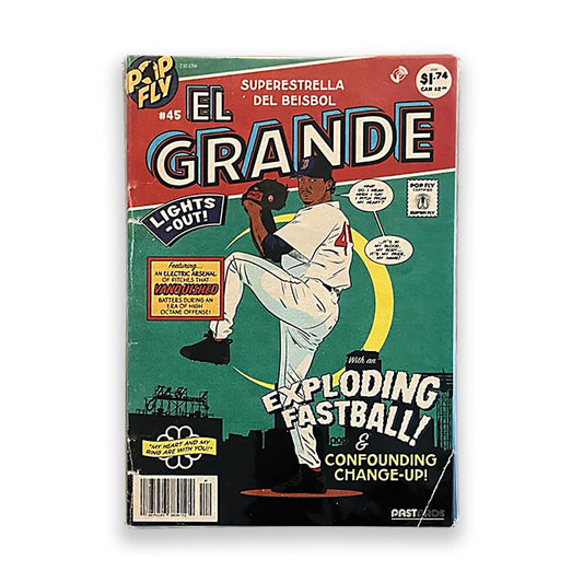 Limited Edition Pedro Martinez "El Grande" Pop Fly Art Print Autographed
